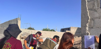 En diversos cateos, aseguró FGE Norte 17 animales en situación de maltrato