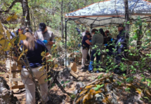Hallan durante rastreo en Bocoyna, restos con alteración térmica