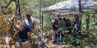 Hallan durante rastreo en Bocoyna, restos con alteración térmica