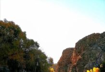 Habilitan zonas para campistas en Coyame