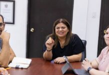 Construcción de Torre Sophia estaba detenida por falta de documentación: Municipio