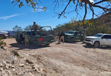 Detienen en Nonoava a civil armado y destruyen cuatro campamentos