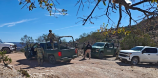 Detienen en Nonoava a civil armado y destruyen cuatro campamentos