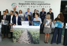 PAN exige frenar el Tren Maya, investigar corrupción y activar inspección ambiental