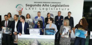 PAN exige frenar el Tren Maya, investigar corrupción y activar inspección ambiental