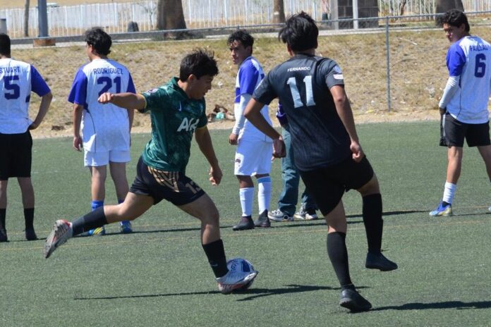 interfacultades uach