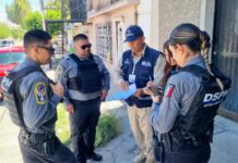 Atienden 475 reportes por maltrato animal en Chihuahua; mayoría son por omisión de cuidados