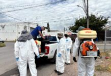 Lleva Municipio programa “Megapatio de mi Casa” a Punta Oriente