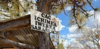 Busca Fiscalía Zona Sur a menor de edad con reporte de ausencia en Guachochi