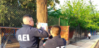 Instrumenta AEI operativo de búsqueda y pega de pesquisas en Nuevo Casas Grandes