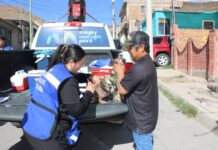 Avanza Municipio en la protección animal con jornadas de vacunación en colonias de Chihuahua Capital