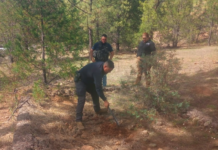 Realiza FGE Occidente rastreos en localidades del municipio de Madera