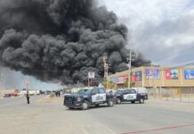 Participaron 230 elementos para controlar incendio en recicladora