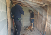 Catea FEM domicilio en seguimiento a una carpeta de investigación