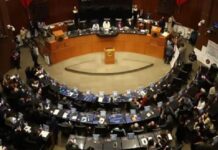 Senado aprueba reforma para homologar el delito de feminicidio en todo el país