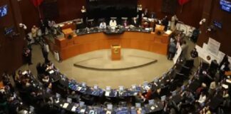 Senado aprueba reforma para homologar el delito de feminicidio en todo el país