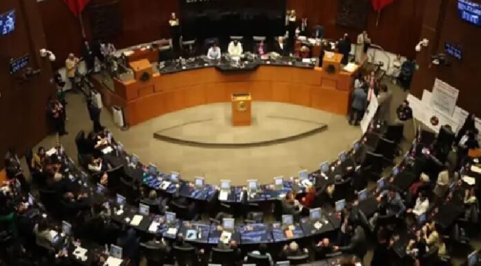 Senado aprueba reforma para homologar el delito de feminicidio en todo el país