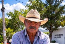 Lista convocatoria para apoyo en semilla de sorgo forrajero