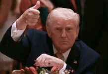 Trump tilda a León XIV de ser “débil” frente al crimen y “pésimo” en política exterior