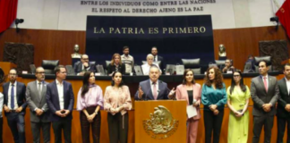 Señala Mario Vázquez omisión de responsabilidades federales en operativo contra narcolaboratorio