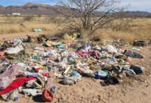 Atiende Desarrollo Urbano del Municipio 114 reportes ambientales y de obra en la ciudad