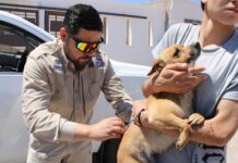 Vacunación, desparasitación y prevención contra la rickettsia han llegado a más de 30 colonias