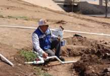 Cumple Marco Bonilla con imagen urbana y cuidado ambiental; instalan nuevo sistema de riego en el talud Homero