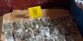 Vincula FGR a proceso a dos detenidos con drogas durante cateo en Juárez