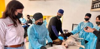 Realiza diputada Jael Argüelles 200 esterilizaciones en Palo Chino