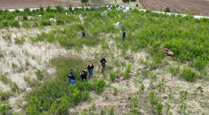 Realiza FGE Occidente rastreo en fincas abandonadas y panteón de La Norteña