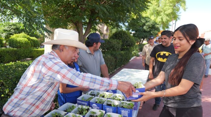 Entrega Arturo Zubía más de 10 mil plántulas a familias de Camargo y Jiménez