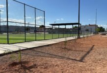 Realizan la forestación de 100 árboles en el Polideportivo Luis H. Álvarez