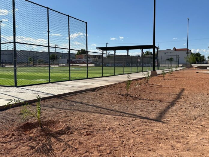 polideportivo arboles