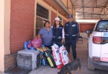 Inicia Municipio entrega de apoyos recolectados mediante el Croquetón 2026