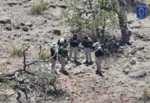 Localizan restos óseos durante rastreo realizado en Temósachic