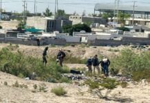 Realizan rastreo en búsqueda de desaparecidos en Portal del Roble en Ciudad Juárez