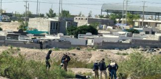 Realizan rastreo en búsqueda de desaparecidos en Portal del Roble en Ciudad Juárez