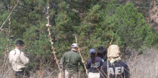 Identifica FGE restos óseos encontrados en la carretera Parral–Guadalupe y Calvo