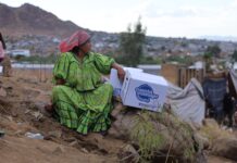 Distribuye Estado paquetes alimenticios a comunidades indígenas de la capital