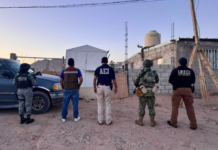 Aseguró FGE Norte 37 caninos en situación de maltrato en Ciudad Juárez