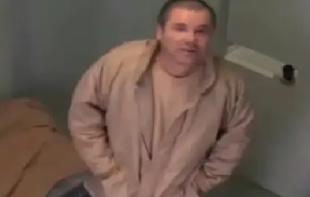 chapo colapsa