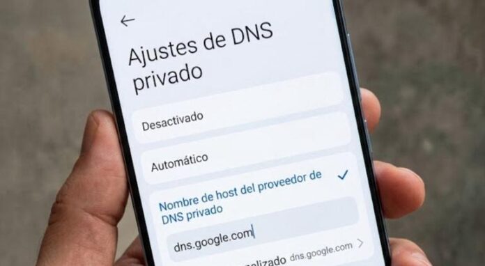 dns