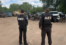 Participa FGE Noroeste en operativo por aire y tierra en Gómez Farías y Madera