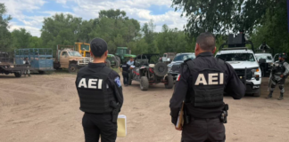 Participa FGE Noroeste en operativo por aire y tierra en Gómez Farías y Madera