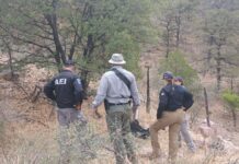 Localiza Operativo Interinstitucional restos óseos durante rastreo en carretera Parral- Guadalupe y Calvo