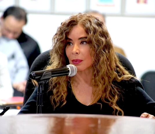 “El secretario De la Peña es tan ignorante del proceso de votación como la diputada Díaz”: María Antonieta Pérez
