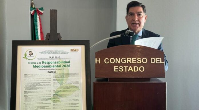 Dan a conocer a los ganadores del Premio a la Responsabilidad Medioambiental 2026