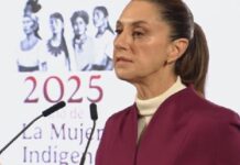 Incautar armas, combatir narco y lavado de dinero en su país, planteamientos permanentes a EU: Sheinbaum