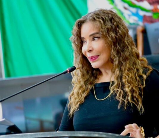 ”#YoElijoRegidor detenido solo por los diputados del PRIAN y MC”: diputada Pérez Reyes