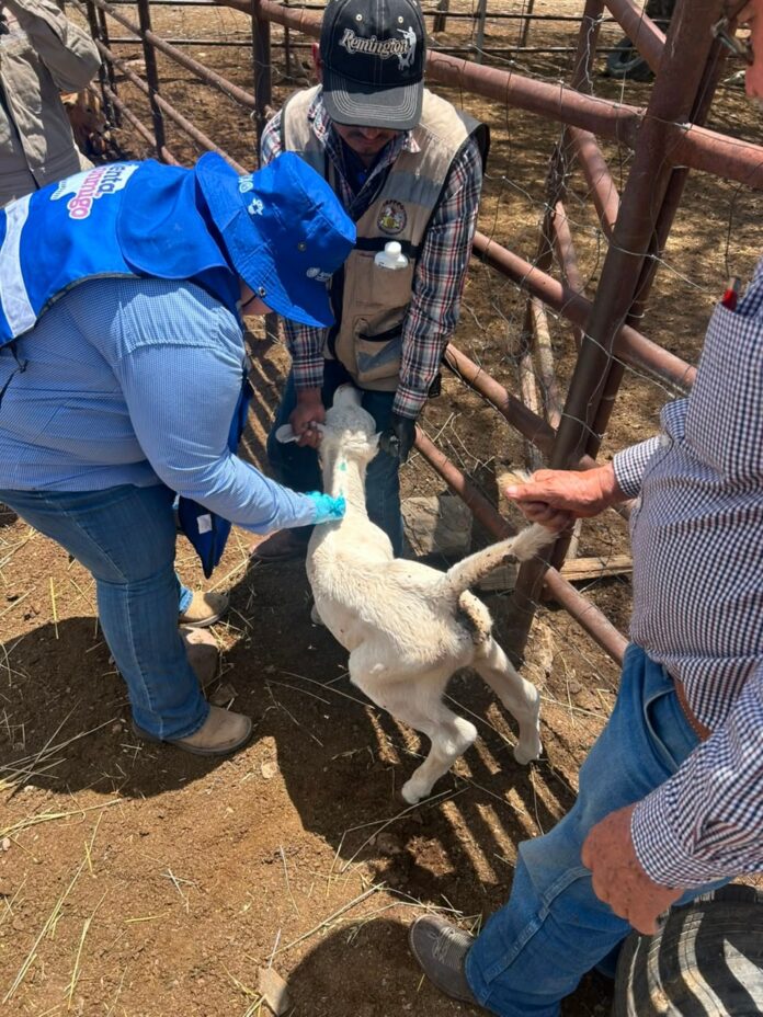 barrido sanitario
